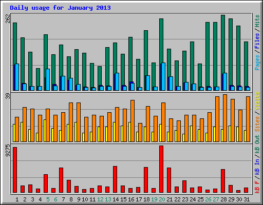 Daily usage for January 2013