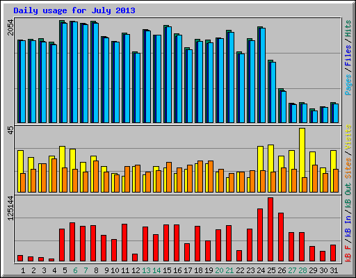 Daily usage for July 2013