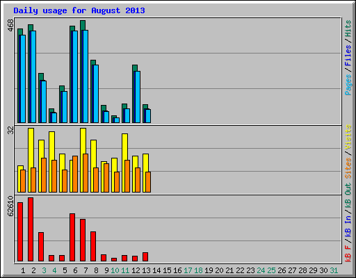 Daily usage for August 2013