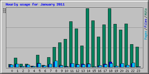 Hourly usage for January 2011