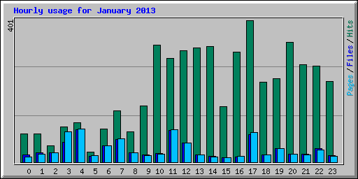 Hourly usage for January 2013