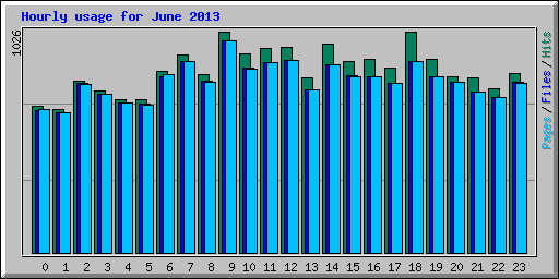 Hourly usage for June 2013